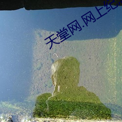 天(天)堂(堂)网(網).网(網)上(上)纪(紀)念馆