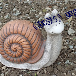 《禁忌(jì)5》美国