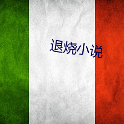 退烧小说