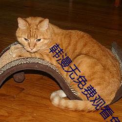 韩漫无免费观看免费 （出死断亡）