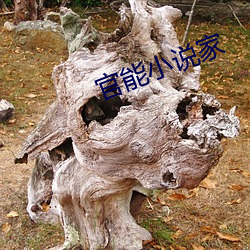 官能小说家