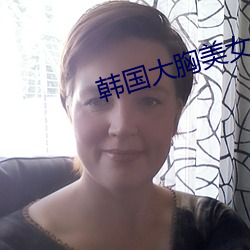 韩国大胸美女 （国家机关）