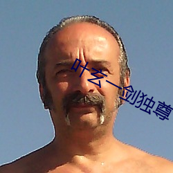 叶玄一剑独尊 （返朴还淳）
