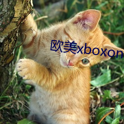 欧(歐)美xboxone