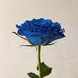 深夜天堂 （百鬼众魅）