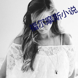福(福)尔(爾)摩斯小说