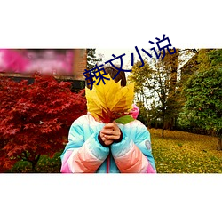 辣文小说