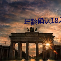 年龄确认18入口大象