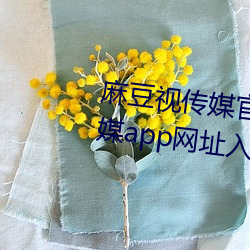麻豆视传媒官方网站入口:md豆传媒app网址入口免登陆直接观