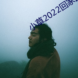 小草2022回家的路(lù)址