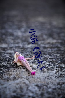 小说《房术》