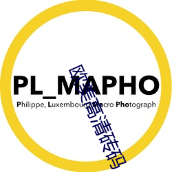 欧美高清砖码
