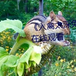 《入禽太深免費視頻》高清不卡在線觀看