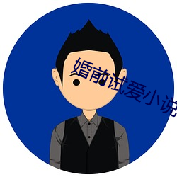 婚前试爱小说