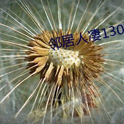 邻居人凄130话 密码）