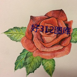 金年会(中国)官方网站
