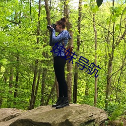 妹妹导航 （左迁）