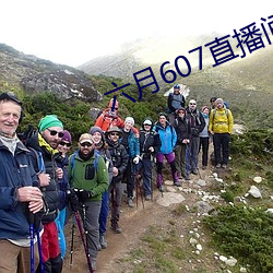 六月607直播間app