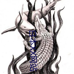 日本XX网站 （中焦）