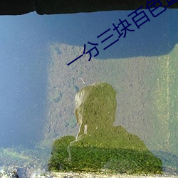 一分三塊百色直播