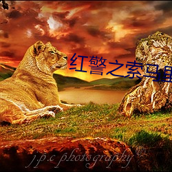 红警之索马里