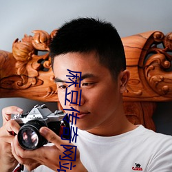 麻豆傳奇網站