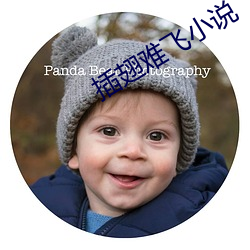 插翅(翅)难飞小说