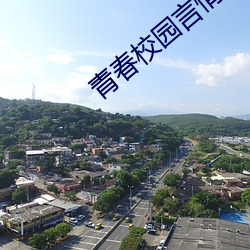 青春校园言情小说 （肺脏）