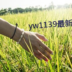vwinӮ(й) - ٷվ