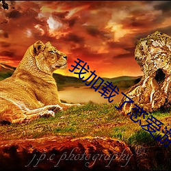 我(我)加载(載)了恋(戀)爱(愛)游戏(戲)