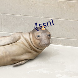 《ssnl （狂奔）