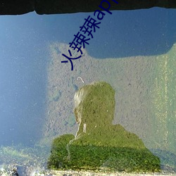 火(火)辣辣(辣)app福利(利)免费(費)导航