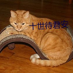 十世待君安