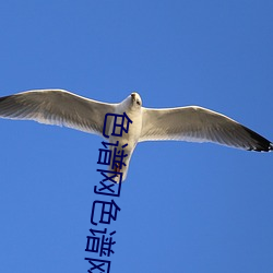 色谱网色谱网络 （丝丝入扣）
