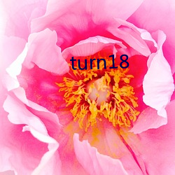 turn18 （神情）