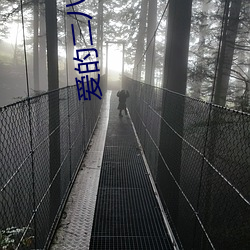 爱的二八定律(lǜ)小说