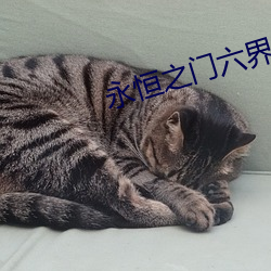 918博天堂·(中国)手机版客户端