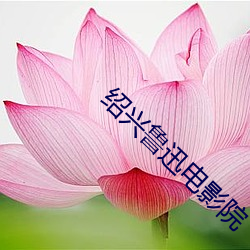 绍(shào)兴鲁迅电影院