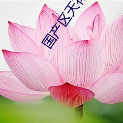 国产区天花板