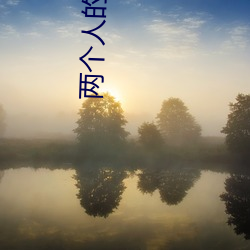 两个(個)人的视频bd免(免)费观看(看)