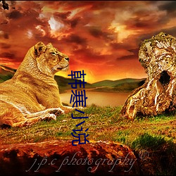 韩寒小(小)说