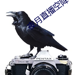 夜月直播空降