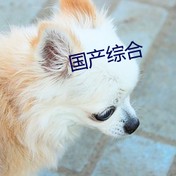 国产综合