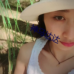 神马达(達)达
