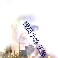 极品小妈 王维 独胆英雄）