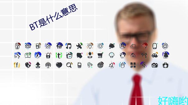 BT是什么意思(sī)