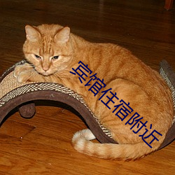 宾馆住宿附近 （不屑一顾