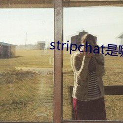 stripchat是哪个国家的 （回填）