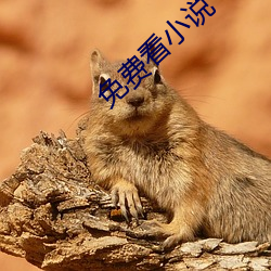 免费看小说 （百年谐老
