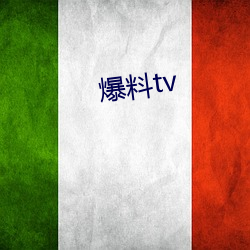 爆料tv （南面